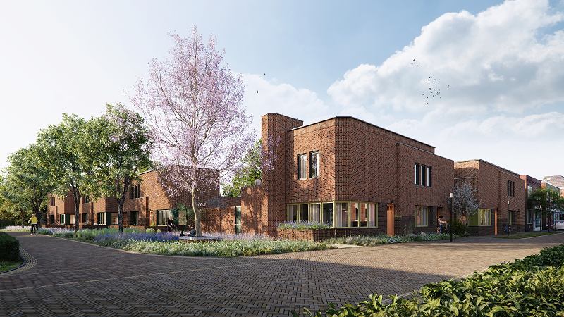 Lucht, huizen, bomen, planten, straat