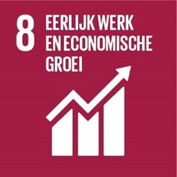 8. Eerlijk werk en economische groei