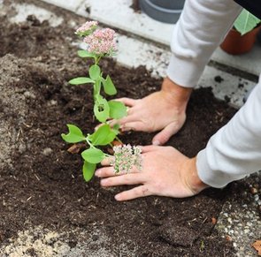 tegelwipper, tegel eruit groen erin, win 50 euro cadeauactie 