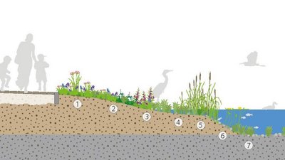 Afbeelding natuurvriendelijke oever