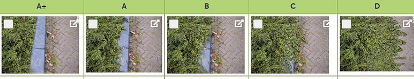 groen, stoepranden, straten op 5 kwaliteitsniveaus